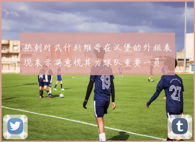 热刺对武什科维奇在汉堡的外租表现表示满意视其为球队重要一员