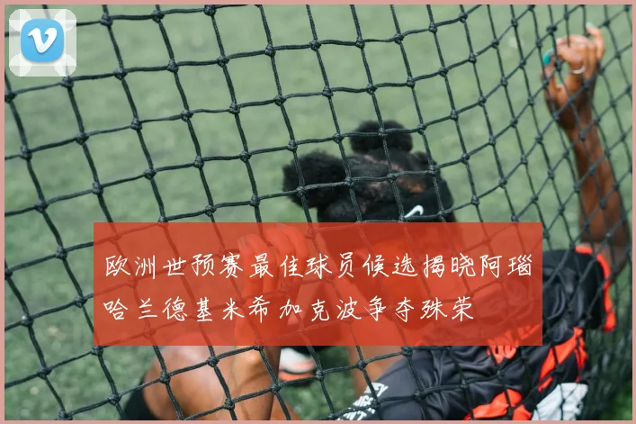 欧洲世预赛最佳球员候选揭晓阿瑙哈兰德基米希加克波争夺殊荣